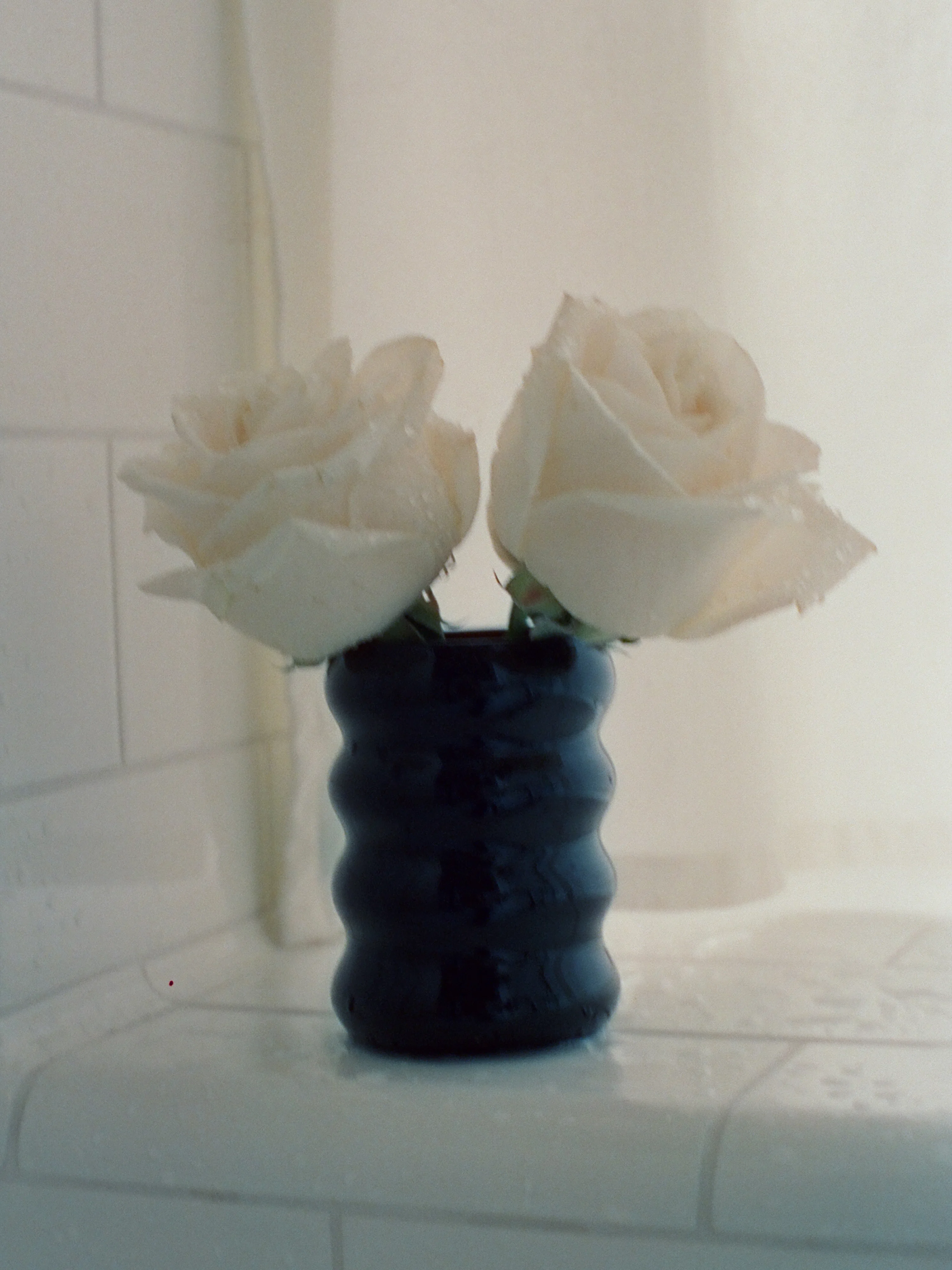 Opaque Ripple Cup Set